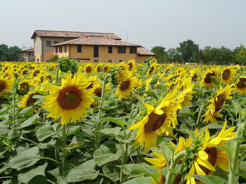 Hotel Del Rio Srl - Ristorante E Azienda Agricola Casinalbo Exterior foto