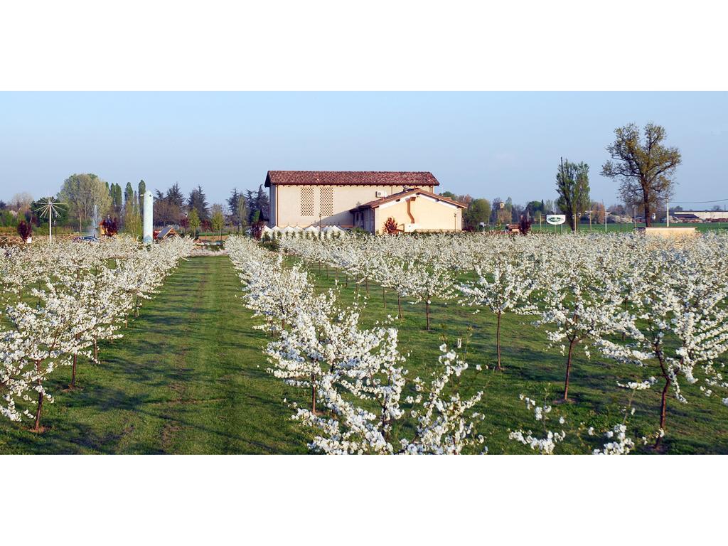 Hotel Del Rio Srl - Ristorante E Azienda Agricola Casinalbo Exterior foto